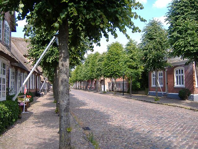 2008 - 027.jpg - Mogel-Tonder (DK)